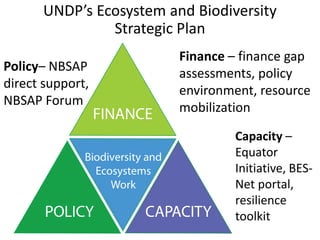 UNDP’s Ecosystem and Biodiversity
               Strategic Plan
                         Finance – finance gap
Policy– NBSAP            assessments, policy
direct support,          environment, resource
NBSAP Forum              mobilization
                                 Capacity –
                                 Equator
                                 Initiative, BES-
                                 Net portal,
                                 resilience
                                 toolkit
 