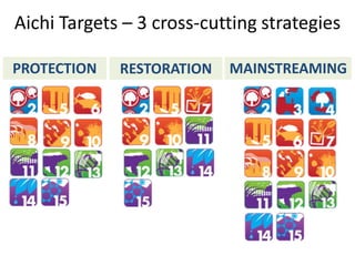 Aichi Targets – 3 cross-cutting strategies

PROTECTION   RESTORATION   MAINSTREAMING
 