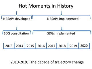 Hot Moments in History

NBSAPs developed         NBSAPs implemented



SDG consultation         SDGs implemented


 2013 2014 2015 2016 2017 2018       2019 2020



    2010-2020: The decade of trajectory change
 