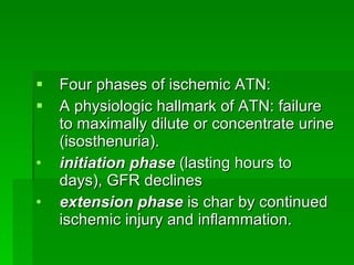 Acute Renal Failure 2* to Rhabdomyolysis 2* to Motor Vehicular Accident ...