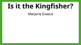 Is it the Kingfisher?
Marjorie Evasco
 