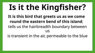 Is it the Kingfisher?
It is this bird that greets us as we come
round the eastern bend of this island;
tells us the hairbreadth boundary between
us
is transient in the air, permeable to the blue
 