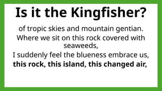 Is it the Kingfisher?
of tropic skies and mountain gentian.
Where we sit on this rock covered with
seaweeds,
I suddenly feel the blueness embrace us,
this rock, this island, this changed air,
 