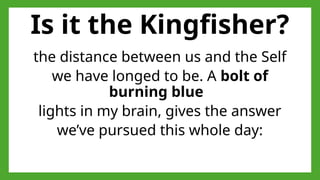 Is it the Kingfisher?
the distance between us and the Self
we have longed to be. A bolt of
burning blue
lights in my brain, gives the answer
we’ve pursued this whole day:
 