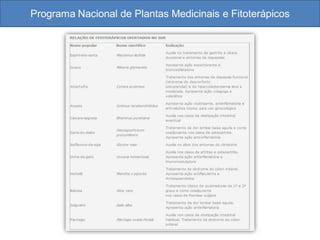 Programa Nacional de Plantas Medicinais e Fitoterápicos
 