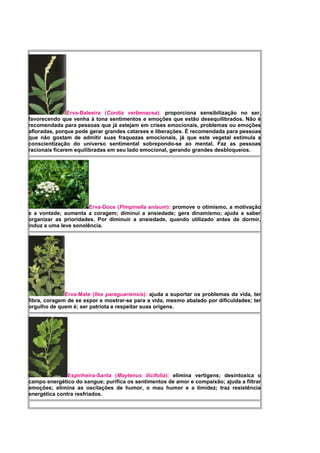 Erva-Baleeira (Cordia verbenacea): proporciona sensibilização no ser,
favorecendo que venha à tona sentimentos e emoções que estão desequilibrados. Não é
recomendada para pessoas que já estejam em crises emocionais, problemas ou emoções
afloradas, porque pode gerar grandes catarses e liberações. É recomendada para pessoas
que não gostam de admitir suas fraquezas emocionais, já que este vegetal estimula a
conscientização do universo sentimental sobrepondo-se ao mental. Faz as pessoas
racionais ficarem equilibradas em seu lado emocional, gerando grandes desbloqueios.
Erva-Doce (Pimpinella anisum): promove o otimismo, a motivação
e a vontade; aumenta a coragem; diminui a ansiedade; gera dinamismo; ajuda a saber
organizar as prioridades. Por diminuir a ansiedade, quando utilizado antes de dormir,
induz a uma leve sonolência.
Erva-Mate (Ilex paraguariensis): ajuda a suportar os problemas da vida, ter
fibra, coragem de se expor e mostrar-se para a vida, mesmo abalado por dificuldades; ter
orgulho de quem é; ser patriota e respeitar suas origens.
Espinheira-Santa (Maytenus ilicifolia): elimina vertigens; desintoxica o
campo energético do sangue; purifica os sentimentos de amor e compaixão; ajuda a filtrar
emoções; elimina as oscilações de humor, o mau humor e a timidez; traz resistência
energética contra resfriados.
 