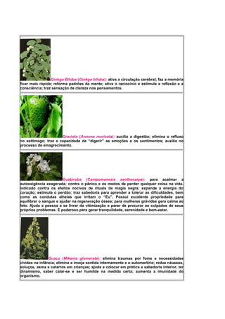 Ginkgo Biloba (Ginkgo biloba): ativa a circulação cerebral; faz a memória
ficar mais rápida; reforma padrões da mente; ativa o raciocínio e estimula a reflexão e a
consciência; traz sensação de clareza nos pensamentos.
Graviola (Annona muricata): auxilia a digestão; elimina o refluxo
no estômago; traz a capacidade de “digerir” as emoções e os sentimentos; auxilia no
processo de emagrecimento.
Guabiroba (Campomanesia xanthocarpa): para acalmar a
autoexigência exagerada; contra o pânico e os medos de perder qualquer coisa na vida.
Indicado contra os efeitos nocivos de rituais de magia negra; expande a energia do
coração; estimula o perdão; traz sabedoria para aprender a tolerar as dificuldades, bem
como as condutas alheias que irritam o “Eu”. Possui excelente propriedade para
equilibrar o sangue e ajudar na regeneração óssea; para mulheres grávidas gera calma ao
feto. Ajuda a pessoa a se livrar da vitimização e parar de procurar os culpados de seus
próprios problemas. É poderoso para gerar tranquilidade, serenidade e bem-estar.
Guaco (Mikania glomerata): elimina traumas por fome e necessidades
vividas na infância; elimina a inveja sentida internamente e o automartírio; reduz náuseas,
soluços, asma e catarros em crianças; ajuda a colocar em prática a sabedoria interior, ter
dinamismo, saber calar-se e ser humilde na medida certa; aumenta a imunidade do
organismo.
 