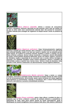 Hibisco (Hibiscus sabdariffa): elimina o excesso de consumismo
material, o tabagismo; estimula a aproveitar da vida somente o que é real, ser realista, ter
os pés no chão, saber amar coerentemente sabendo dizer não quando for necessário.
Também indicado para conseguir ter orgasmos na relação sexual e sentir os prazeres da
vida.
Hipérico (Hypericum perforatum): limpa formas-pensamento negativas;
estimula o respeito por outras pessoas; abre a intuição e o auto-canal de cura; gera força
para enfrentar desafios; ajuda a ser bom pai, buscar o destino com as próprias pernas,
saber esperar, ter audácia no momento coerente, equilibrar a mente e o espírito, ter paz.
Reduz arritmias cardíacas; diminui cólicas menstruais e intestinais; elimina dificuldades
de ereção; reverte padrões vibratórios deficientes; ajuda a ser efetivo, objetivo, coerente e
ter disciplina; amplia a capacidade de se comunicar com o mundo; elimina nevralgias e
neuroses; cria vitalidade energética contra ovários policísticos; elimina o complexo de
inferioridade; acalma o espírito; traz o karma à tona; elimina o medo do abandono; reduz
sinusite e rinite; elimina a melancolia e os aborrecimentos; acessa registros akáshicos.
Hortelã-Levante (Mentha sylvestris): limpa a mente e o campo
energético; desacelera a atividade mental; transmuta as energias densas de ordem mental
e as de formas-pensamento; alivia tensões; ajuda a parar de pensar em coisas negativas;
descongestiona os pensamentos; expande a consciência; abre o chacra frontal (sexto);
estimula a clarividência e aumenta a sensibilidade extrafísica.
Insulina (Cissus verticillata): ajuda a fazer aflorar a verdade da alma e o
propósito aqui na Terra; a diminuir o excesso de ambição material e a prepotência; é
estimulante da visão, tanto física (olhos) quanto da mente (clarividência); ajuda a
desbloquear os canais energéticos; torna a pessoa mais ativa, mais atenta e estimula a
 