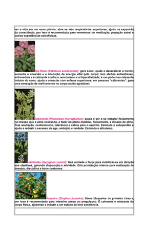 ver a vida em um novo prisma; abre as vias respiratórias superiores; ajuda na expansão
da consciência, por isso é recomendada para momentos de meditação, projeção astral e
outras experiências extrafísicas.
Ipê-Roxo (Tabebuia avellanedae): gera sono; ajuda a desacelerar a mente;
aumenta a conexão e a absorção de energia vital pelo corpo; tem efeitos antiestresse,
anti-insônia e é calmante contra o nervosismo e a hiperatividade; é um poderoso relaxante
indutor do sono; ajuda a conectar com esferas superiores; em pessoas “calorentas”, gera
uma sensação de resfriamento no corpo muito agradável.
Jaborandi (Pilocarpus micropbyllus): ajuda o ser a se integrar fisicamente
na missão que a alma necessita, a fazer no plano material, fisicamente, a missão da alma.
Traz aceitação, conformismo, tolerância e calma para o espírito. Estimula o autoperdão e
ajuda a reduzir o excesso de ego, ambição e vaidade. Estimula o altruísmo.
Jambolão (Syzygium cumini): traz vontade e força para mobilizar-se em direção
aos objetivos, gerando disposição e atividade. Cria priorização interna para realização de
desejos, disciplina e bons costumes.
Joazeiro (Ziziphus joazeiro): libera bloqueios do primeiro chacra,
por isso é recomendado para intestino preso ou preguiçoso. É calmante e relaxante do
corpo físico, ajudando a induzir a um estado de leve sonolência.
 