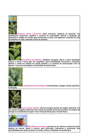 Laranjeira (Citrus aurantium): limpa memórias negativas do passado; cria
estabilidade emocional; equilibra o excesso de maturidade; elimina a sensação de
abandono e solidão no mundo; gera leveza para a alma; cria objetivos e missões na vida
(propósitos na vida); estimula o amor ao próximo.
Lima (Citrus aurantifolia): estabiliza emoções; libera o choro guardado;
coloca o karma à tona para ser resgatado; gera sensibilidade emocional e comoção;
elimina o medo em relação às outras pessoas e o excesso de preocupação com os
demais. Traz auto-valorização e sinceridade de sentimentos.
Losna (Artemisia absinthium): traz felicidade, coragem, êxtase espiritual
e devoção.
Louro (Laurus nobilis): elimina energias densas de origem espiritual, cria
um campo energético espiritual, traz a força da energia divina para purificar os campos de
energia e os ambientes em geral. Traz a força de Deus para o mundo físico.
Maçã (Malus domestica): gera paz no lar; elimina o medo da morte;
acalma os nervos; libera o sorriso; gera bem-estar; harmoniza o emocional; traz
sensibilidade para saber priorizar as coisas; elimina a falsidade de sentimentos.
 
