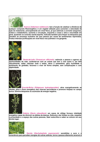 Avenca (Adiantum raddianum): tem a função de catalisar a eficiência de
qualquer composto fitoenergético; é um vegetal utilizado para aumentar a velocidade de
ação do tratamento, principalmente em nível físico, já que estimula a corrente sanguínea,
acelera o metabolismo, aumenta a circulação, esquenta o corpo e ativa a imunidade em
geral, ajudando na conexão mente-espírito. Indicada também para limpar os bloqueios que
prendem ao processo evolutivo de uma pessoa por causa de sentimentos reprimidos.
Produz intensas purificações em nível físico nos pulmões e na garganta.
Dente-de-Leão (Taraxacum officinale): estimula a pessoa a agarrar as
oportunidades da vida; contentar-se com as coisas que tem e com quem é; ser feliz
naturalmente; saber valorizar tudo e todos; eleva a autoestima; gera humildade e
sentimento de gratidão; favorece o viver de forma simples, sem complicações e com
objetividade.
Erva-de-Bicho (Poligonum bydropiperoides): ativa energeticamente as
células; ativa o fluxo energético dos chacras secundários e promove limpeza no campo
áurico. Elimina bloqueios ou acúmulos de energia negativa.
Estévia (Stevia rebaudiana): em casos de vitiligo fornece vitalidade
energética capaz de diminuir os efeitos da doença. Estimula a dar limites na vida, respeitar
a privacidade e o espaço das outras pessoas, fazer autocrítica e saber se colocar em seu
devido lugar.
Gervão (Stachytarpheta cayennensis): sensibiliza a aura e a
consciência para perceber energias de outras esferas; torna a pessoa altamente sensível e
 