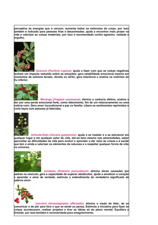 perceptiva às energias que a cercam; aumenta todos os estímulos do corpo, por isso
também é indicado para pessoas frias e desanimadas; ajuda a encontrar mais prazer na
vida e valorizar as coisas imateriais, por isso é recomendado contra egoísmo, vaidade e
orgulho.
Guaraná (Paullinia cupana): ajuda a fazer com que as coisas negativas
tenham um impacto reduzido sobre as emoções; gera estabilidade emocional mesmo em
momentos de extrema tensão, dúvida ou atrito; gera tolerância e acalma os instintos do
Eu inferior.
Morango (Fragaria xananassa): elimina a carência afetiva; acalma a
dor por uma perda emocional forte, como falecimento, fim de um relacionamento ou uma
notícia ruim. Gera amor incondicional e paz na família. Libera os sentimentos reprimidos e
corta laços com pessoas já falecidas.
Unha-de-Gato (Uncaria guianensis): ajuda a se instalar e a se estruturar em
qualquer lugar e em qualquer setor da vida, dar-se bem mesmo nas adversidades, saber
aproveitar as dificuldades da vida para evoluir e aprender a dar valor às coisas e à saúde
que tem e ainda a valorizar os elementos da natureza e a respeitar qualquer forma de vida
no universo.
Jurubeba (Solanum paniculatum): elimina dores causadas por
pedras na vesícula; gera a capacidade de superar obstáculos; ajuda a amolecer o coração
e aprender a amar de verdade; estimula o entendimento do verdadeiro significado da
palavra amor.
Uva-Ursi (Arctostaphylos officinalis): elimina o medo de falar, de se
comunicar e de pôr para fora o que se sente ou pensa. Estimula a iniciativa para fazer as
coisas acontecerem, realizar projetos e tirar as idéias só do plano mental. Equilibra a
tireóide, por isso também é recomendada para emagrecimento.
 
