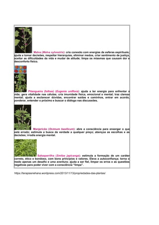 Malva (Malva sylvestris): cria conexão com energias de esferas espirituais;
ajuda a tomar decisões, respeitar hierarquias, eliminar medos, criar sentimento de justiça,
aceitar as dificuldades da vida e mudar de atitude; limpa os miasmas que causam dor e
desconforto físico.
Pitangueira (folhas) (Eugenia uniflora): ajuda a ter energia para enfrentar a
vida; gera vitalidade nas células; cria imunidade física, emocional e mental; traz clareza
mental; ajuda a esclarecer dúvidas, encontrar saídas e caminhos, entrar em acordo,
ponderar, entender o próximo e buscar o diálogo nas discussões.
Manjericão (Ocimum basilicum): abre a consciência para enxergar o que
está errado; estimula a busca da verdade a qualquer preço; abençoa as escolhas e as
decisões; irradia energia mental.
Salsaparrilha (Smilax japicanga): estimula a formação de um caráter
correto, ético e bondoso, com bons princípios e valores. Eleva a autoconfiança; torna o
medo apenas um desafio e uma aventura; ajuda a ser fiel, limpar os erros e as questões
negativas para poder viver com a consciência “limpa”.
https://terapiasnehana.wordpress.com/2013/11/13/propriedades-das-plantas/
 
