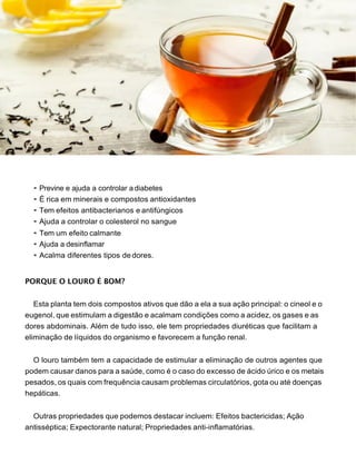 • Previne e ajuda a controlar a diabetes
• É rica em minerais e compostos antioxidantes
• Tem efeitos antibacterianos e antifúngicos
• Ajuda a controlar o colesterol no sangue
• Tem um efeito calmante
• Ajuda a desinflamar
• Acalma diferentes tipos de dores.
PORQUE O LOURO É BOM?
Esta planta tem dois compostos ativos que dão a ela a sua ação principal: o cineol e o
eugenol, que estimulam a digestão e acalmam condições como a acidez, os gases e as
dores abdominais. Além de tudo isso, ele tem propriedades diuréticas que facilitam a
eliminação de líquidos do organismo e favorecem a função renal.
O louro também tem a capacidade de estimular a eliminação de outros agentes que
podem causar danos para a saúde, como é o caso do excesso de ácido úrico e os metais
pesados, os quais com frequência causam problemas circulatórios, gota ou até doenças
hepáticas.
Outras propriedades que podemos destacar incluem: Efeitos bactericidas; Ação
antisséptica; Expectorante natural; Propriedades anti-inflamatórias.
 