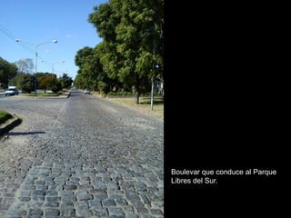 Boulevar que conduce al Parque
Libres del Sur.