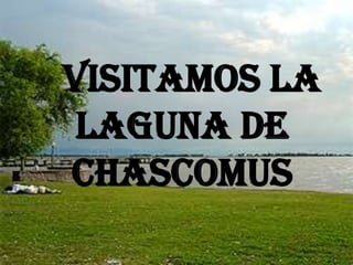 Visitamos la
laguna de
chascomus
 