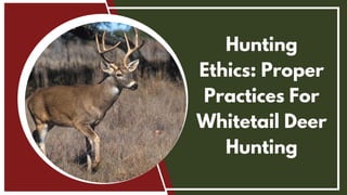 Hunting
Ethics: Proper
Practices For
Whitetail Deer
Hunting
 