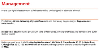 Comprehensive Guide to Insect Pests and Their Management in Tea, Almond ...