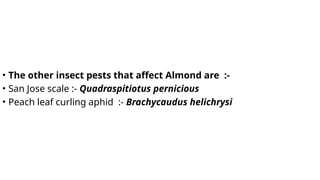 Percicious Insects Comprehensive Guide to Insect Pests and Their Management in Tea, Almond ...