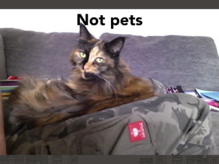 Not pets
21
 