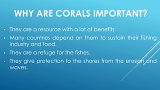 WHY ARE CORALS IMPORTANT?
• They are a resource with a lot of benefits.
• Many countries depend on them to sustain their fishing
industry and food.
• They are a refuge for the fishes.
• They give protection to the shores from the erosion and
waves.
 