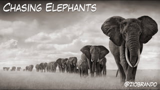 Chasing Elephants
@ziobrando
 