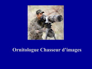 Ornitologue Chasseur d’images
 