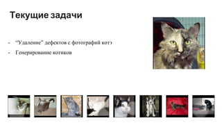 Текущие задачи
- “Удаление” дефектов с фотографий котэ
- Генерирование котиков
 