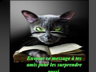 Envoies ce message à tes
amis pour les surprendre
 