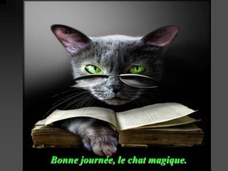 Bonne journée, le chat magique.
 
