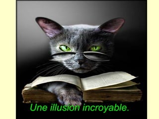 Une illusion incroyable.
 