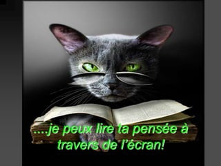 ....je peux lire ta pensée à
      travers de l’écran!
 