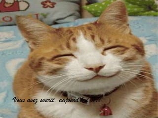 Vous avez sourit, aujourd'hui ????
 