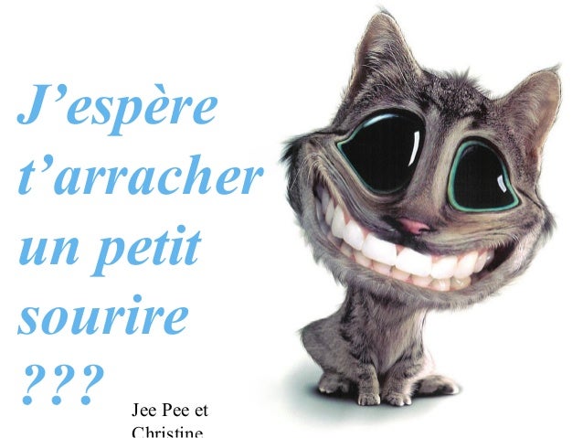 Chat Rire