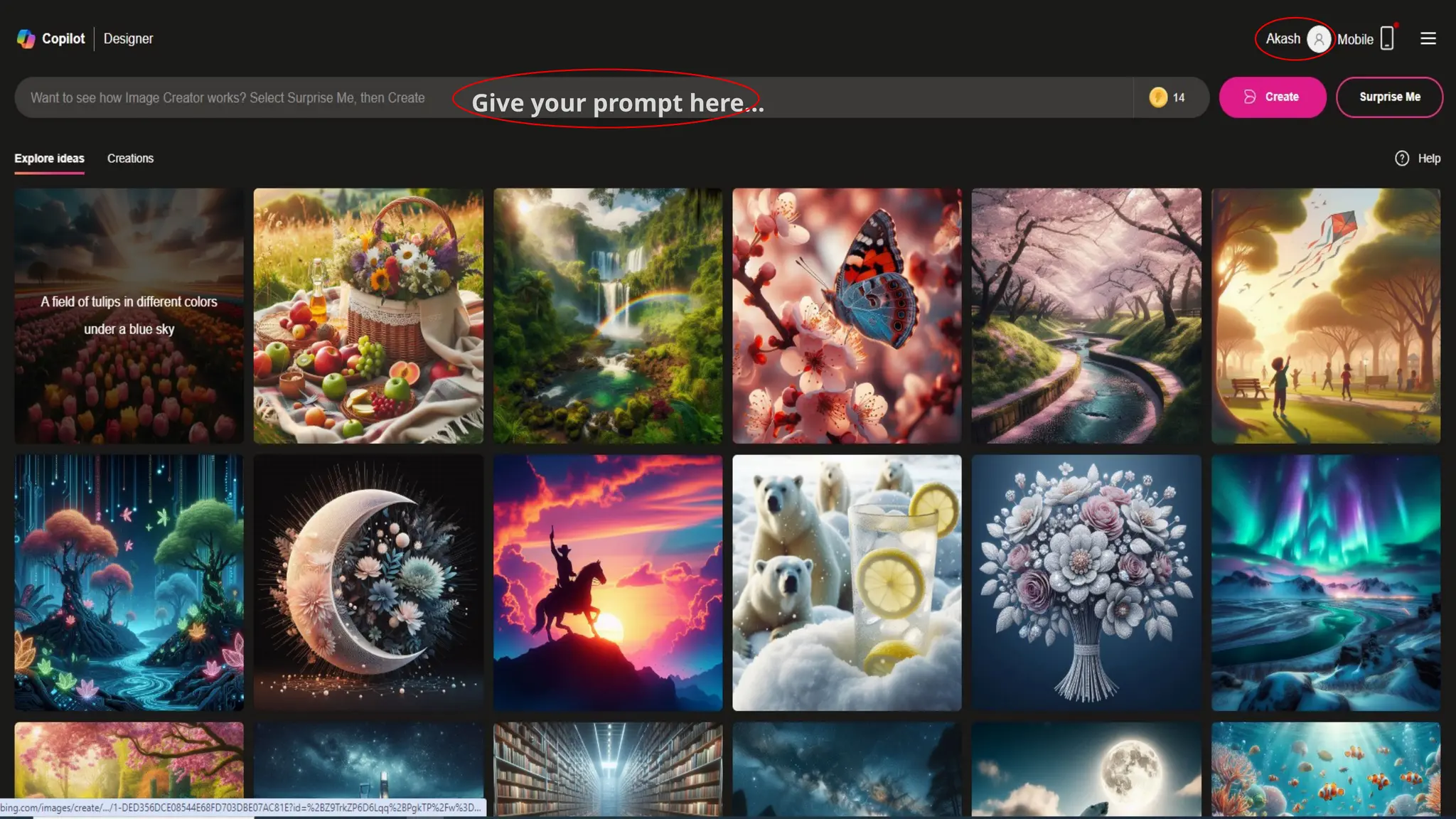 Give your prompt here…