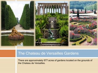 There are approximately 977 acres of gardens located on the grounds of
the Chateau de Versailles.
The Chateau de Versailles Gardens
 