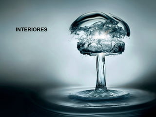 INTERIORES 