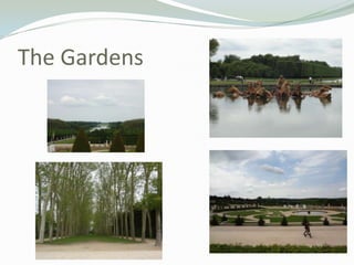 The Gardens
 