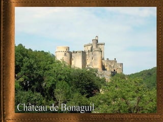 Château de Bonaguil
