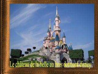 Le château de la belle au bois dormant disney
