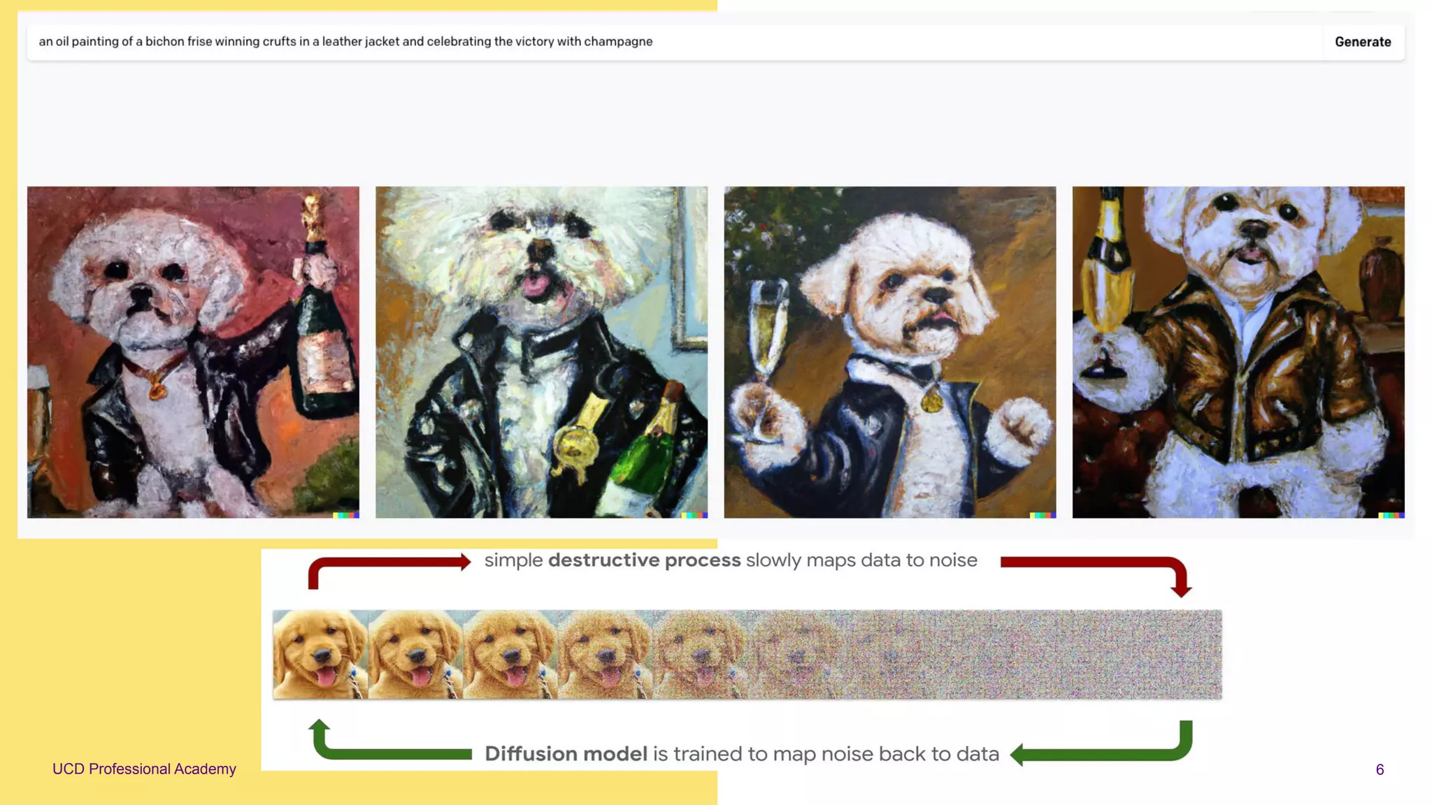 UCD Professional Academy 6
 