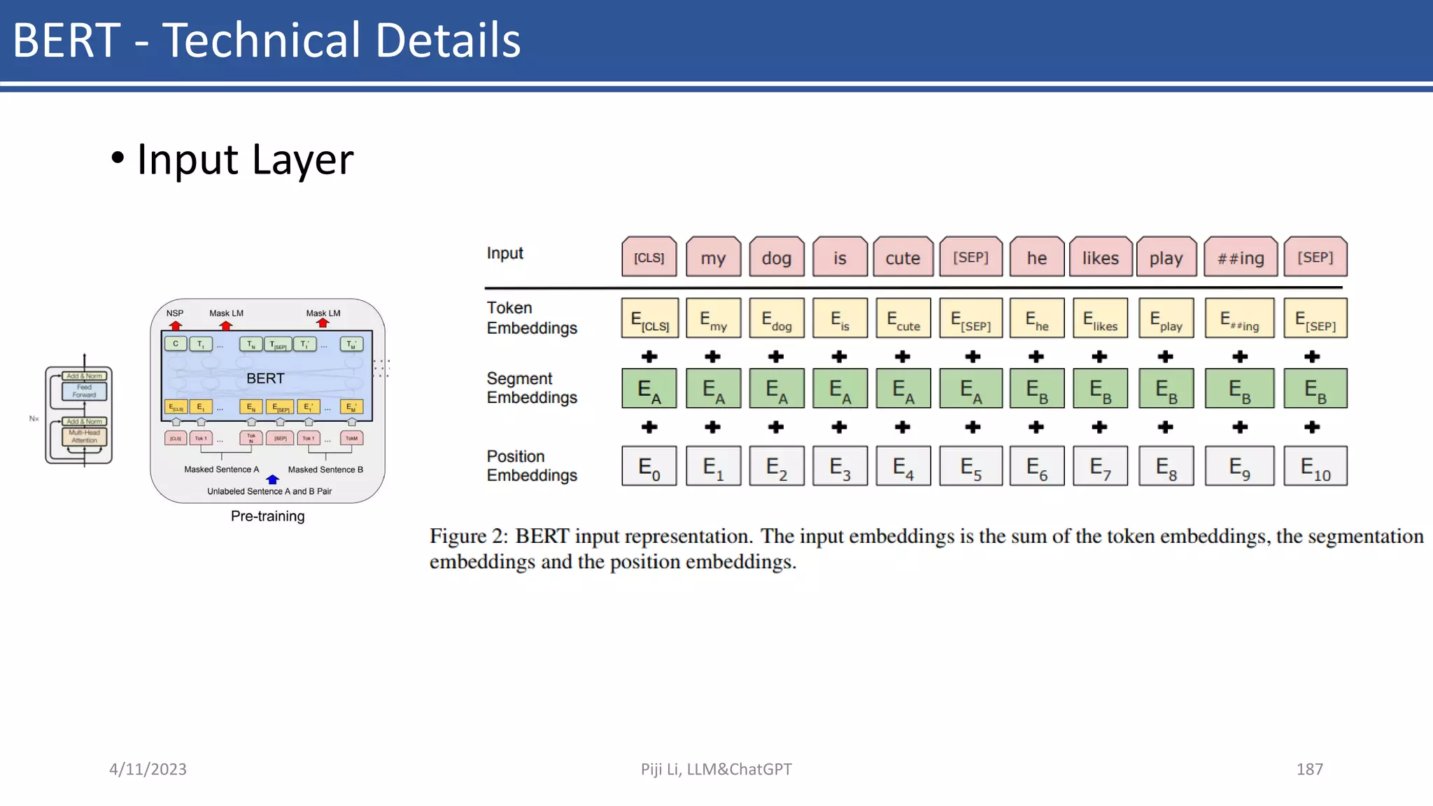BERT - Technical Details
• Input Layer
4/11/2023 Piji Li, LLM&ChatGPT 187
 