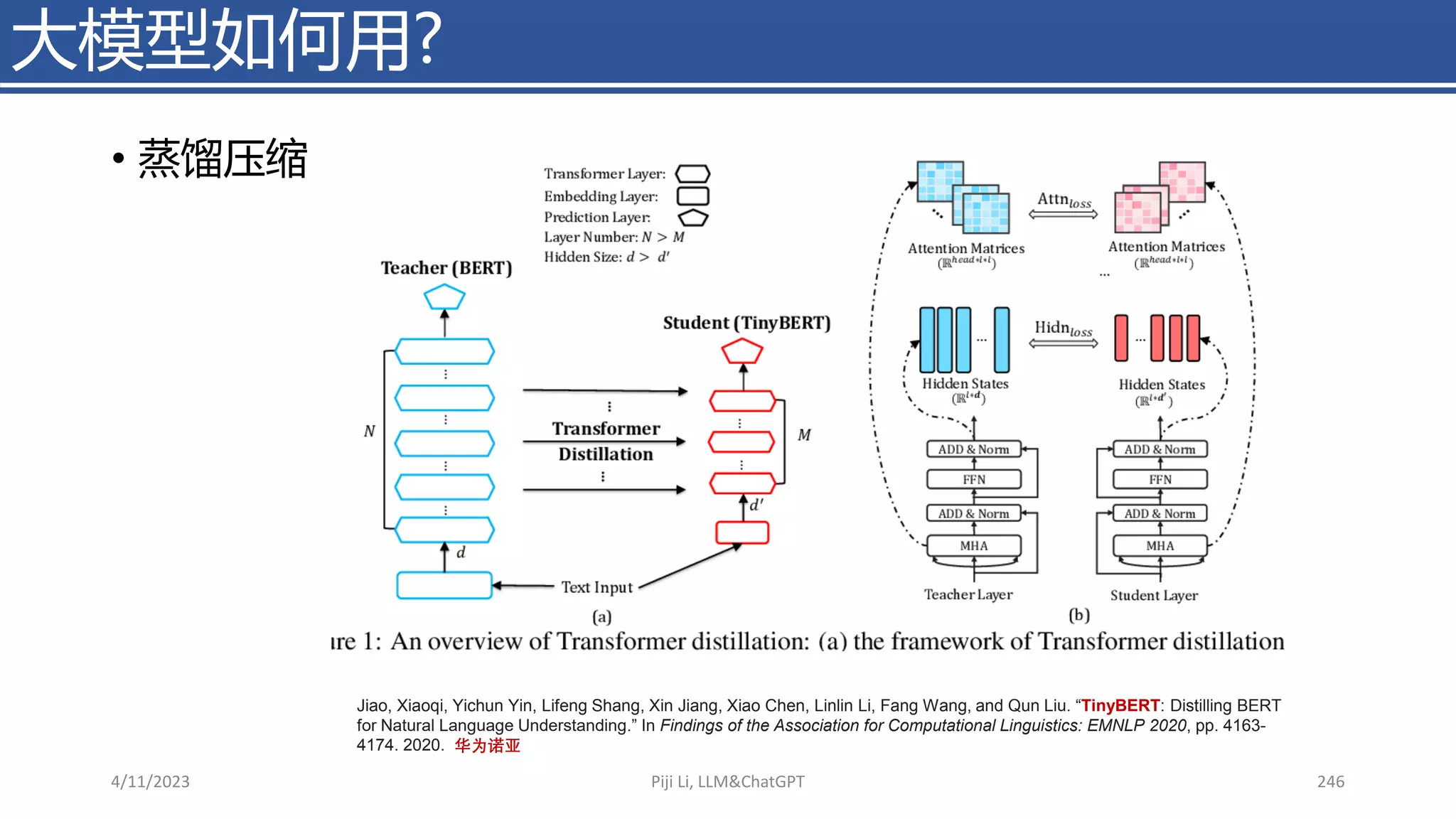 • 蒸馏压缩
大模型如何用?
4/11/2023 Piji Li, LLM&ChatGPT 246
Jiao, Xiaoqi, Yichun Yin, Lifeng Shang, Xin Jiang, Xiao Chen, Linlin Li, Fang Wang, and Qun Liu. “TinyBERT: Distilling BERT
for Natural Language Understanding.” In Findings of the Association for Computational Linguistics: EMNLP 2020, pp. 4163-
4174. 2020. 华为诺亚
 
