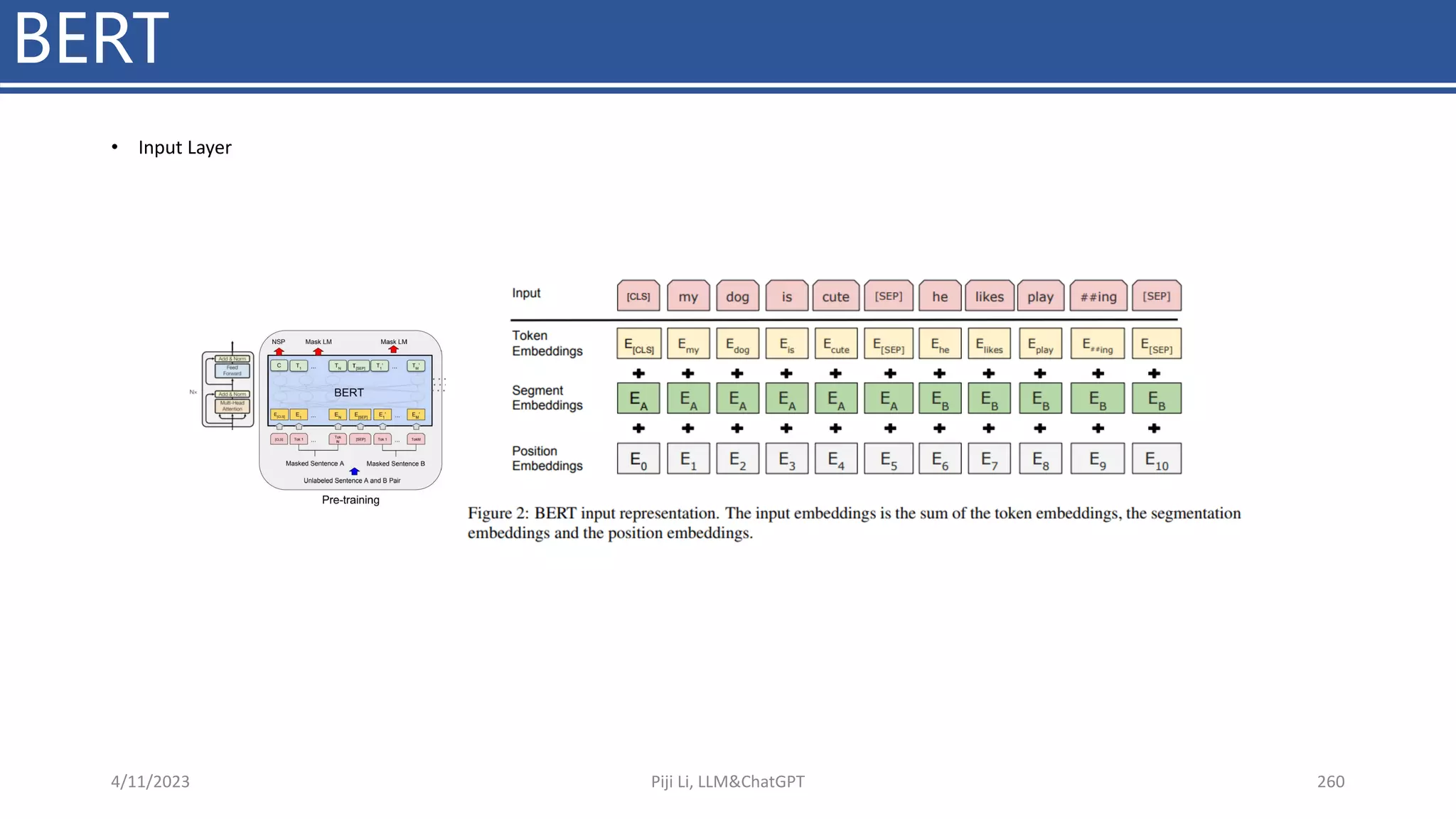 BERT
• Input Layer
4/11/2023 Piji Li, LLM&ChatGPT 260
 