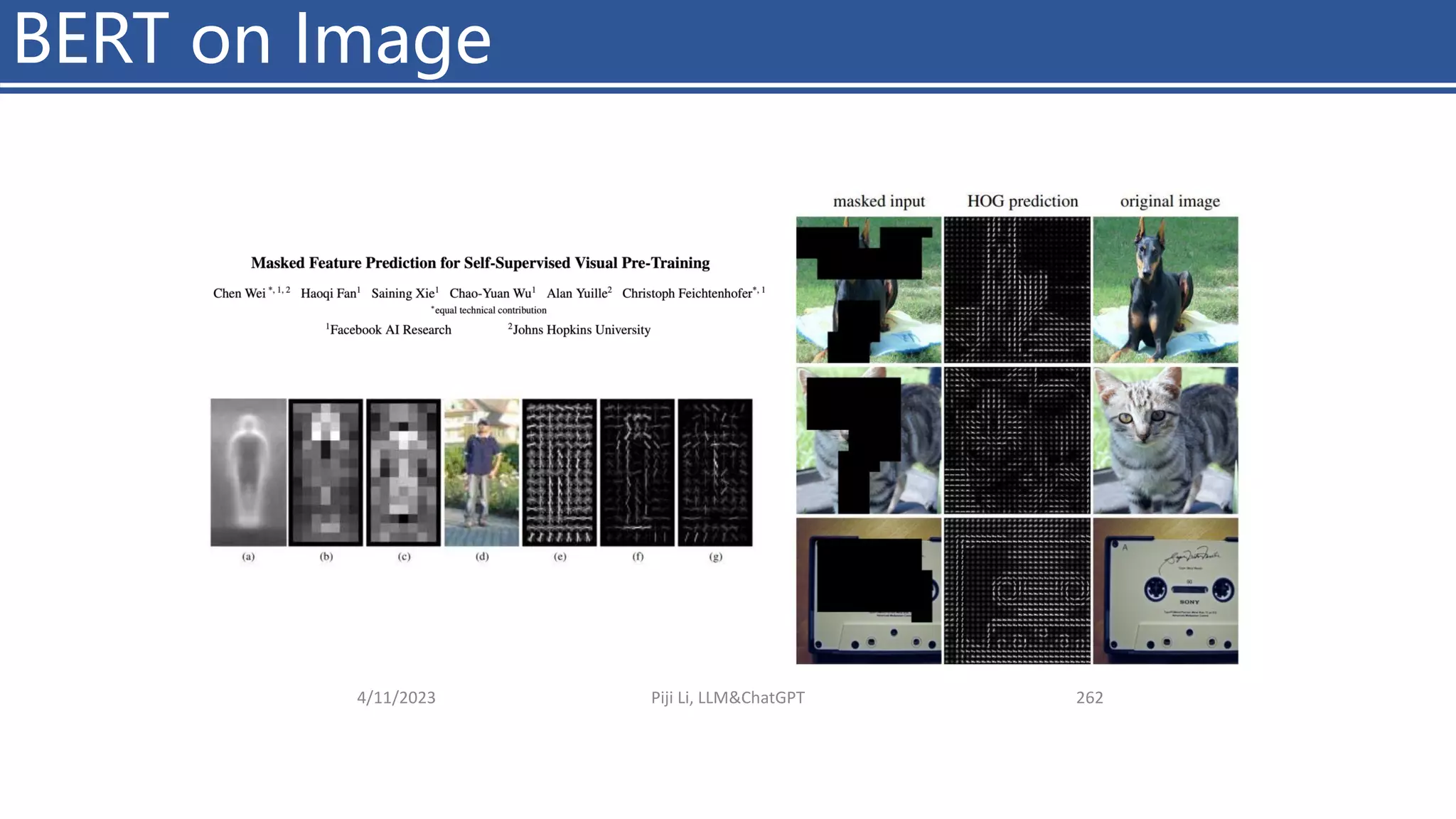 4/11/2023 Piji Li, LLM&ChatGPT 262
BERT on Image
 