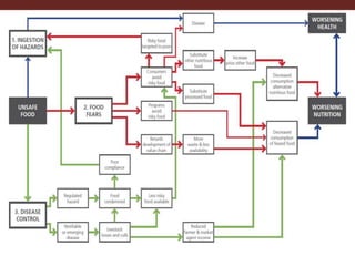 The influence of livestock products (LP) on nutrition during the first 1000 days