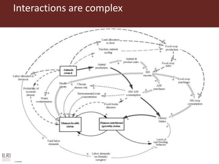 The influence of livestock products (LP) on nutrition during the first 1000 days