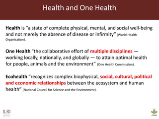 Vaccines and diagnostics—The case for regional One Health centres of excellence 