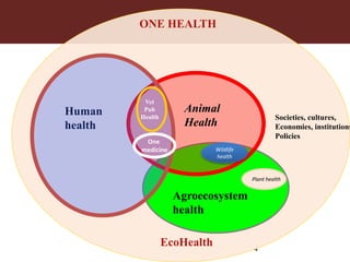 Vaccines and diagnostics—The case for regional One Health centres of excellence 
