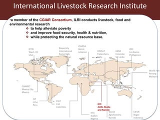 Vaccines and diagnostics—The case for regional One Health centres of excellence 